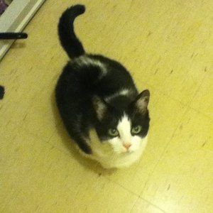 Meet your Posher, Fuliju